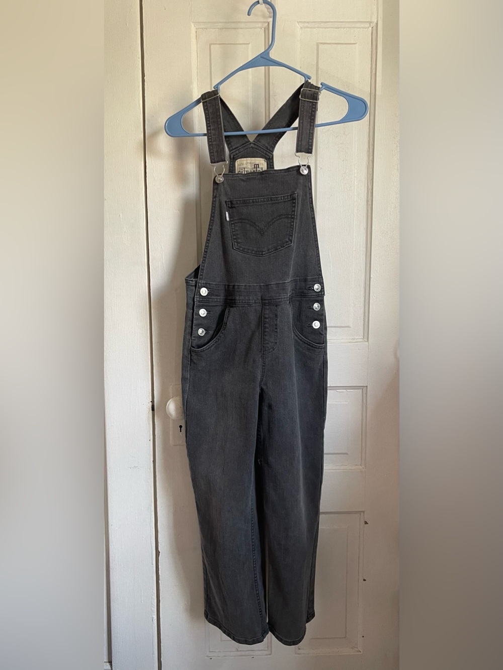 Levi's SilverLab Charcoal Denim Overalls